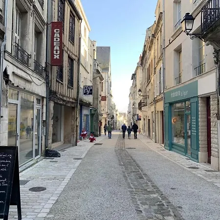 Apartment Large Bright Poitiers